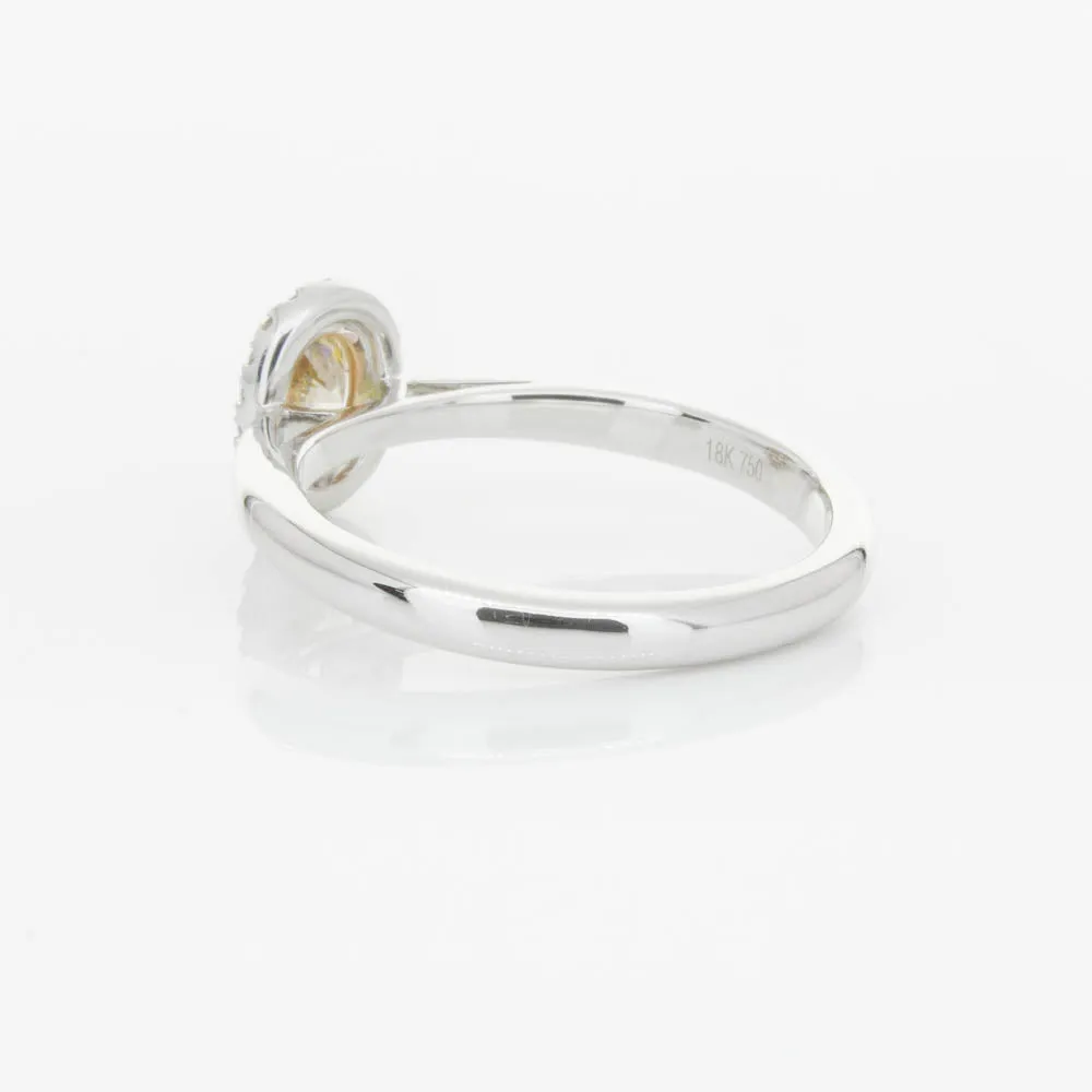 18ct White Gold .51ct Mocha Diamond Nina Ring