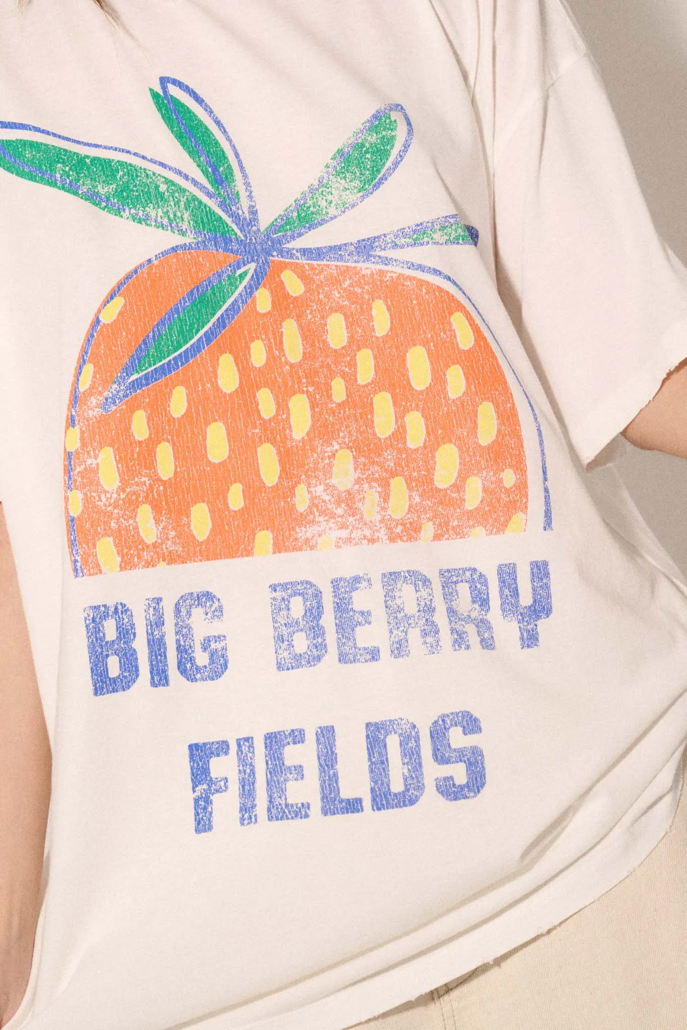 Big Berry Fields Distressed Oversize Graphic Tee