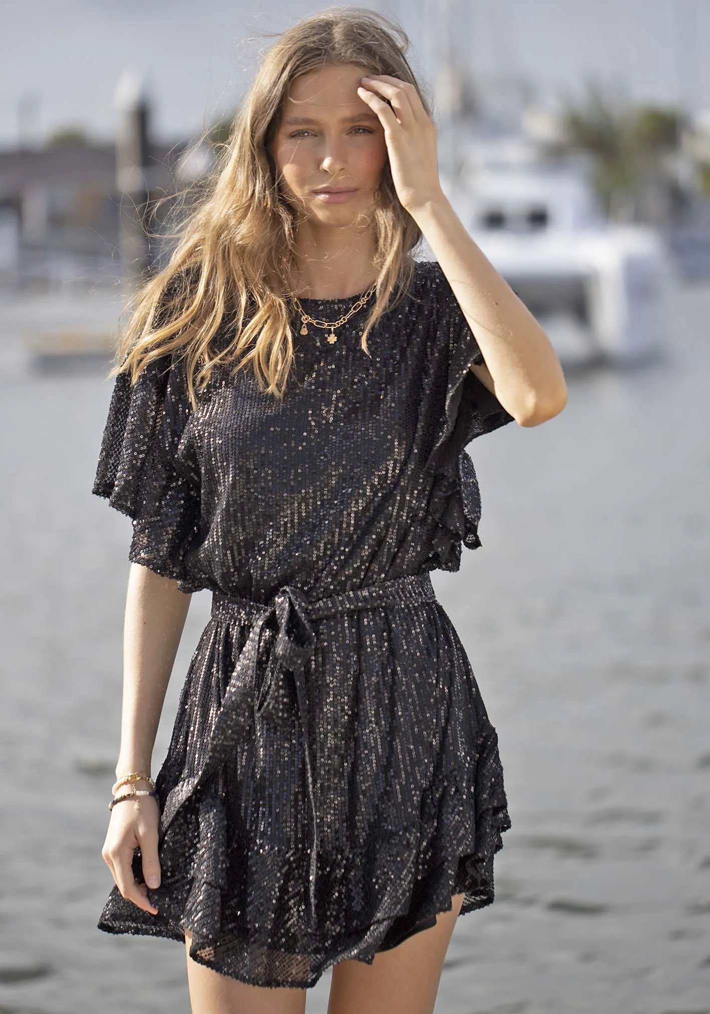 Hereafter Sequin Dress